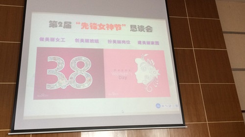 第2届“彩合网女神节”恳谈会现场图